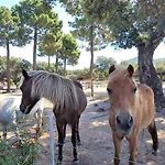 Lantana Villa Porto-Vecchio (Corsica)
